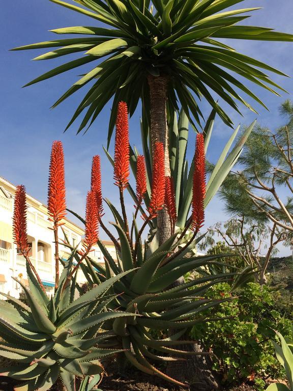 Appartamento Residentie Montesol Torrox Esterno foto